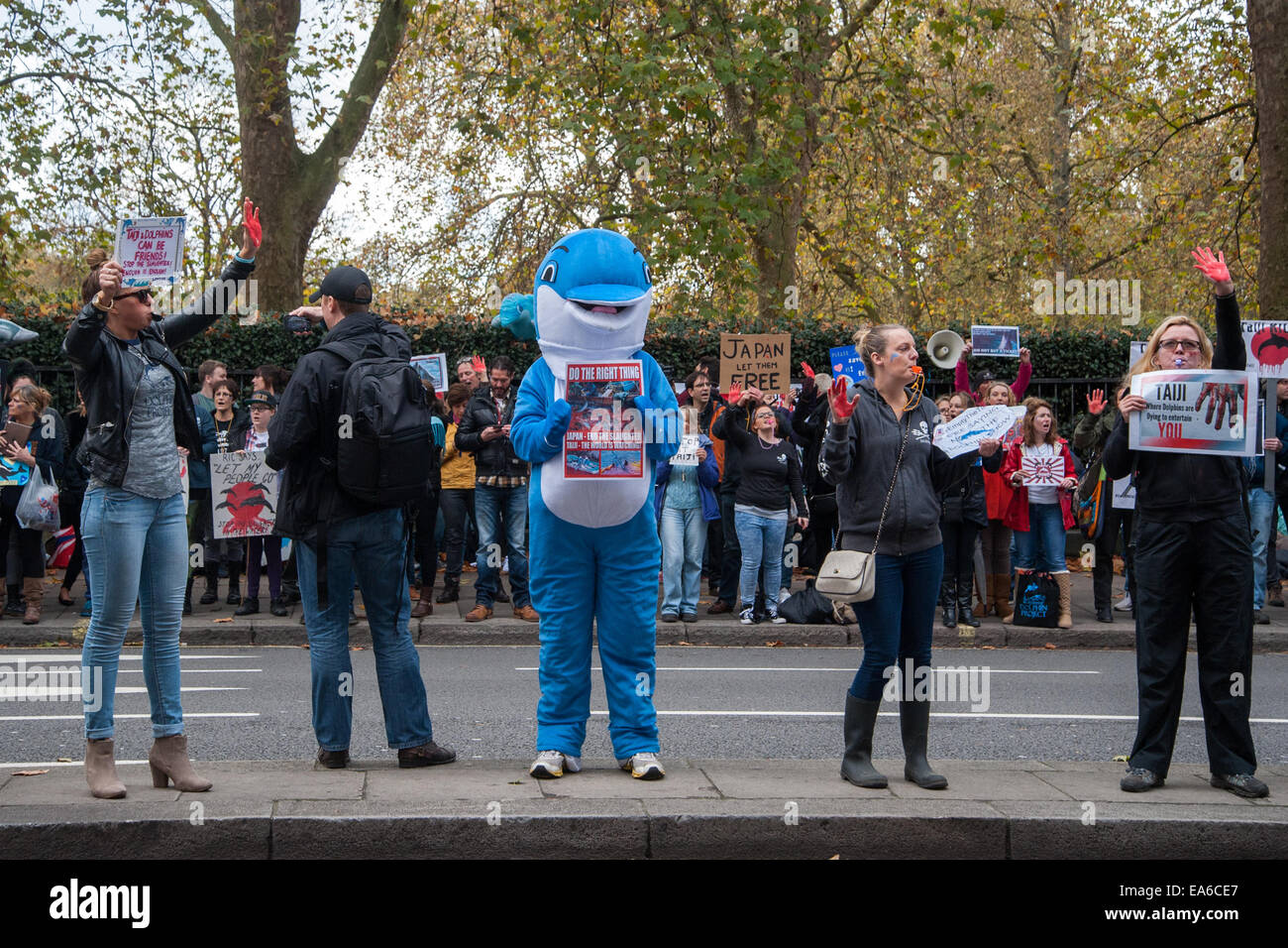 London, UK. 7th November, 2014. Hundreds of protesters gather opposite the Japanese Embassy in London to protest against the killing of the mammals during the dolphin drives that take place annually from September to March in Taiji, Higashimuro District, Wakayama Prefecture, Japan. Credit:  Pete Maclaine/Alamy Live News Stock Photo