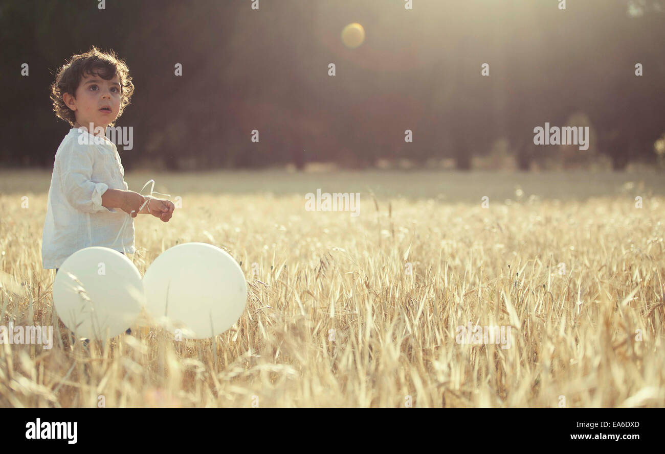 Child with balloons in wheat field Stock Photo