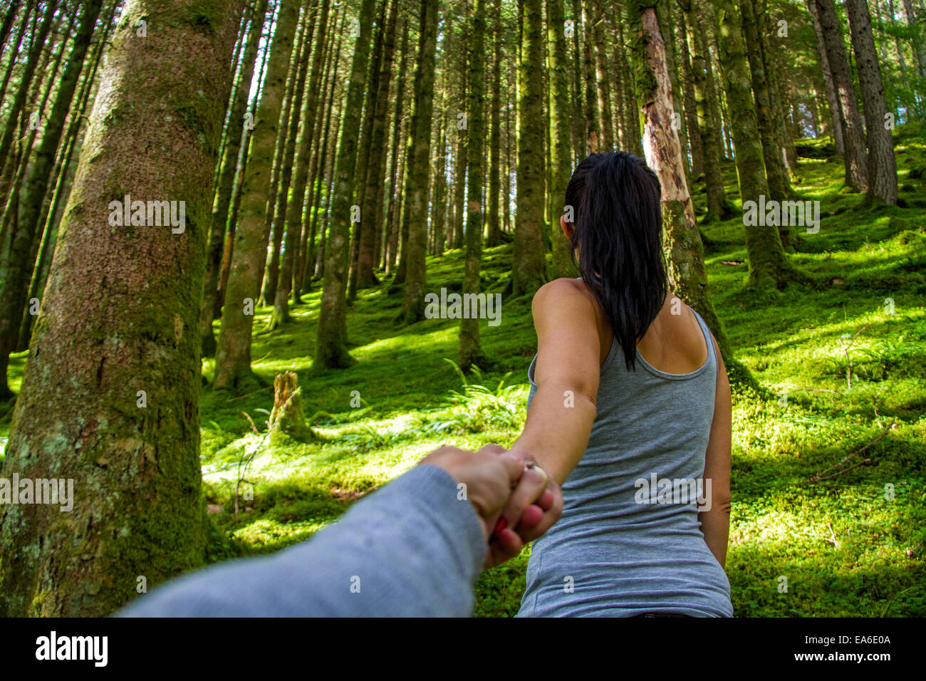 Man and woman holding hands in forest Stock Photo