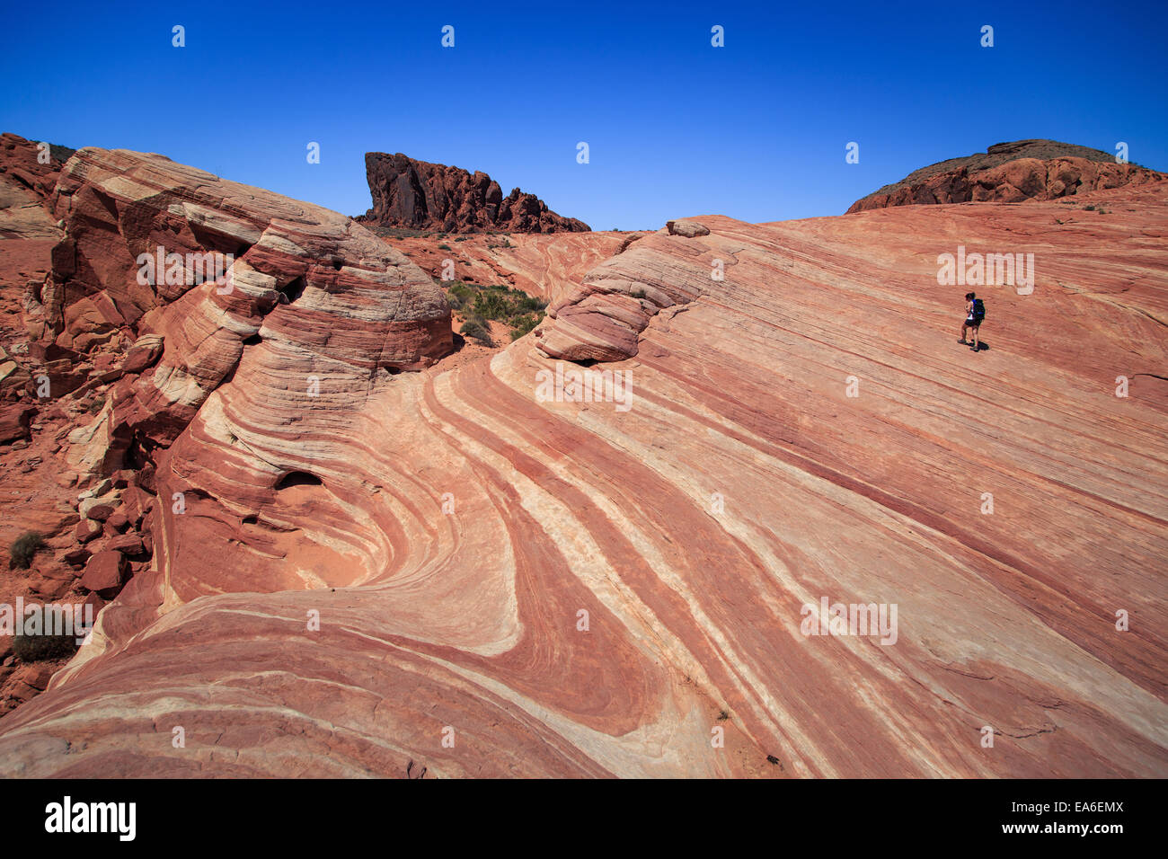 USA, Nevada, Clark County, White Domes Road, Lone hiker on Fire Wave in Valley of Fire State Park Stock Photo