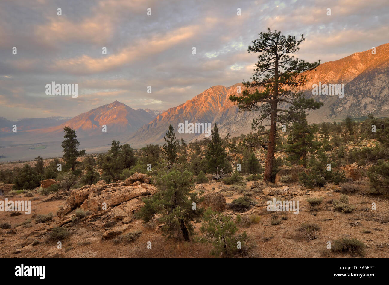 Mt tom hires stock photography and images Alamy