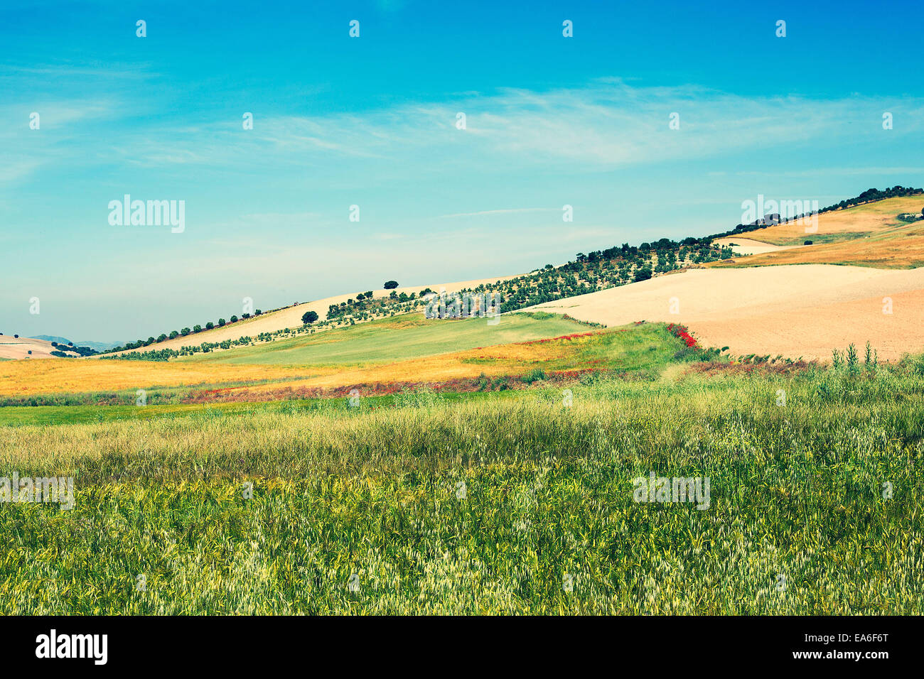 Rural landscape, Campo, Spain Stock Photo Alamy