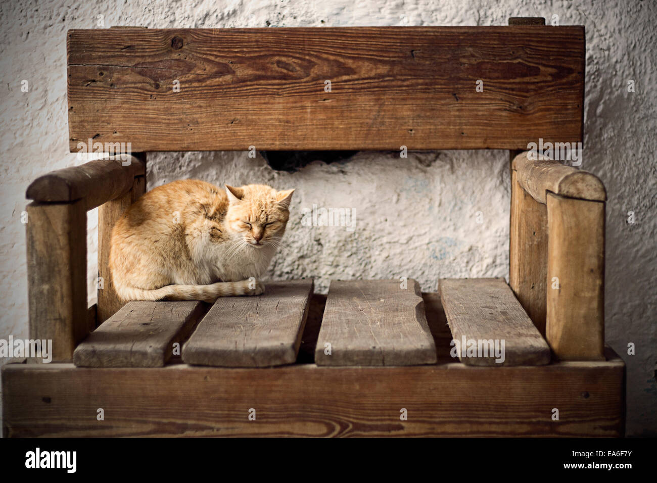 Cat sleeping on wooden chair Stock Photo Alamy