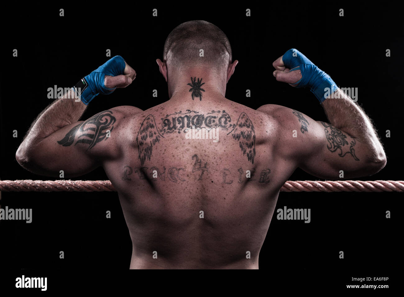 Boxer flexing his muscles Stock Photo 75131750 Alamy