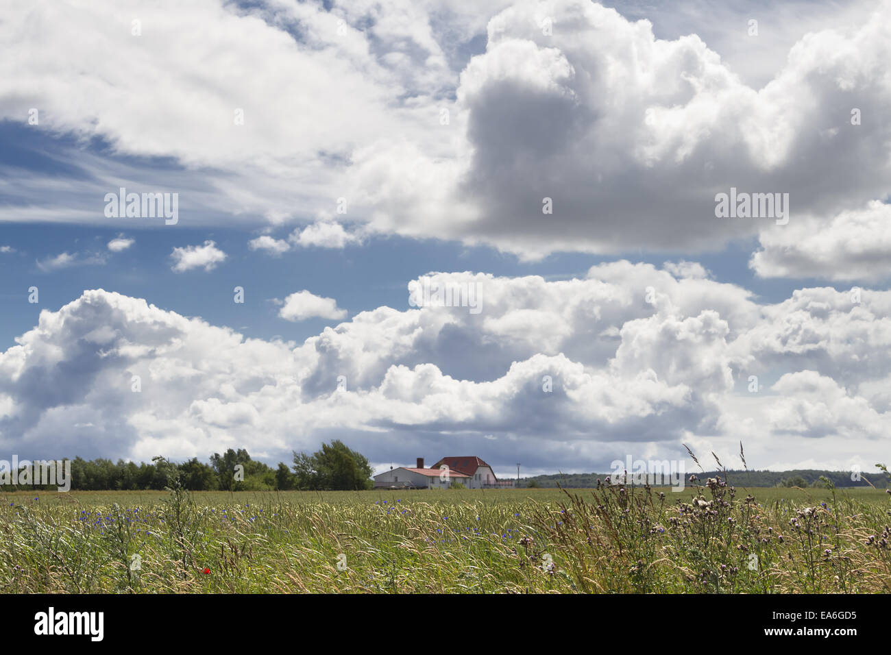 landscape Stock Photo