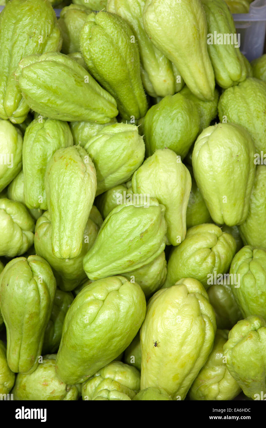Chayote, Sechium edule, for sale at an Asian market. Stock Photo