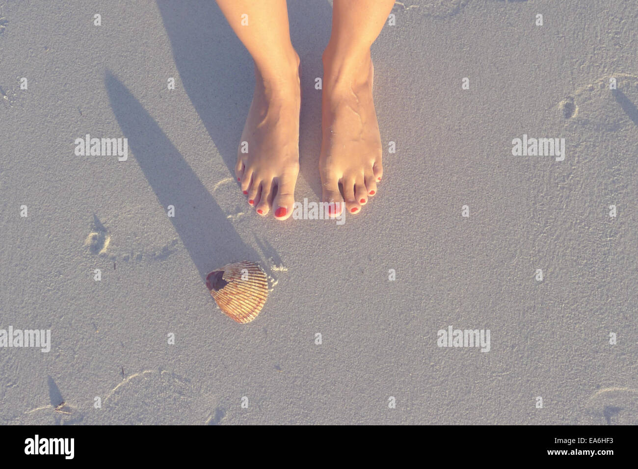 Feet and shell on beach Stock Photo - Alamy