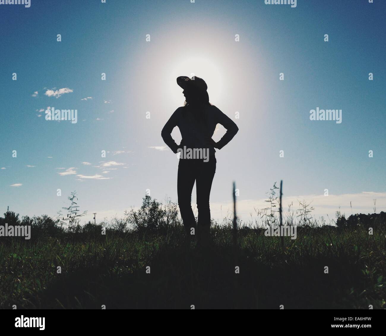 Silhouette of the hi-res stock photography and images - Alamy
