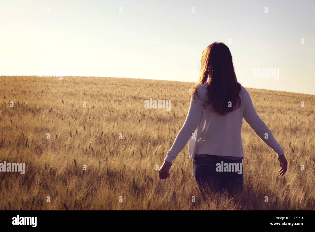 Woman standing in wheat field Stock Photo
