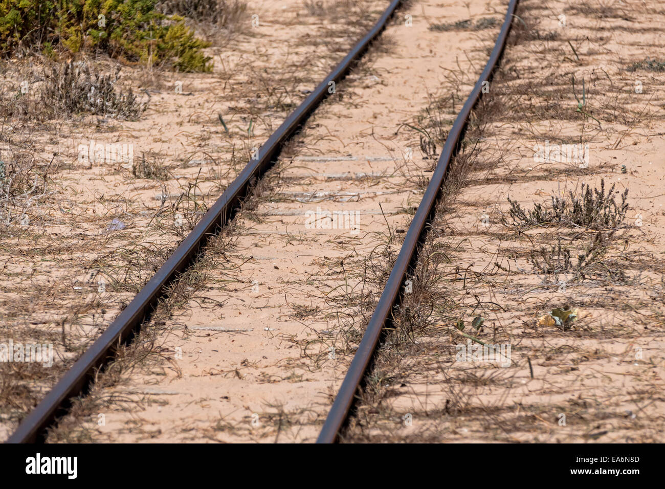 Steel Railroad Tracks on Sand Beach, closeup Stock Photo Alamy