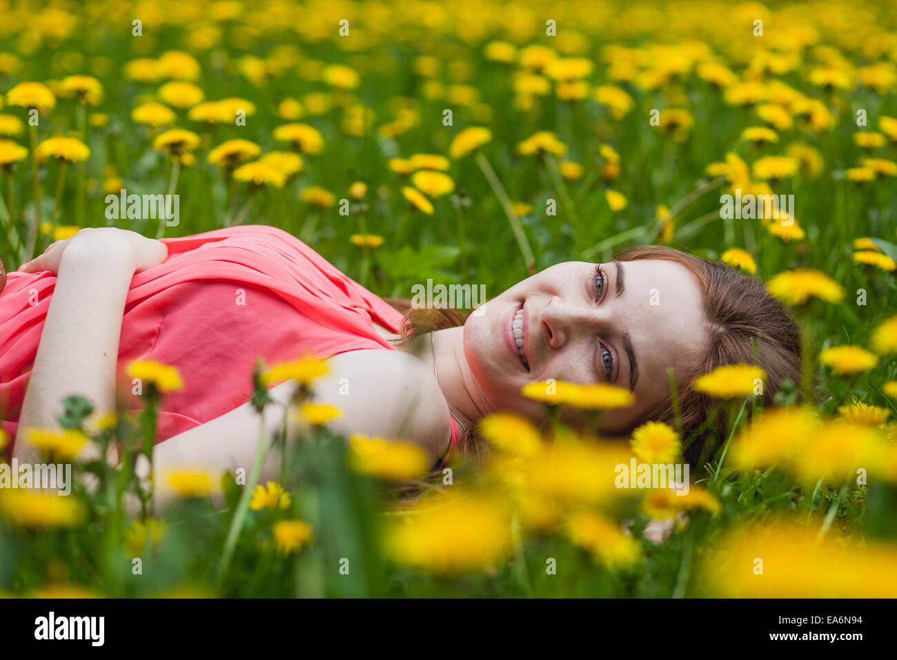 beautiful girl lying on the field of dandelions Stock Photo - Alamy