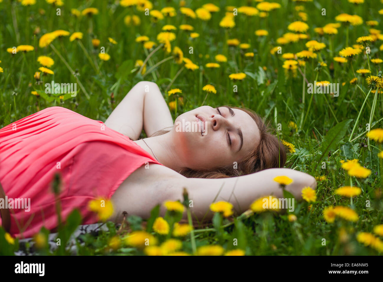 beautiful girl lying on the field of dandelions Stock Photo - Alamy