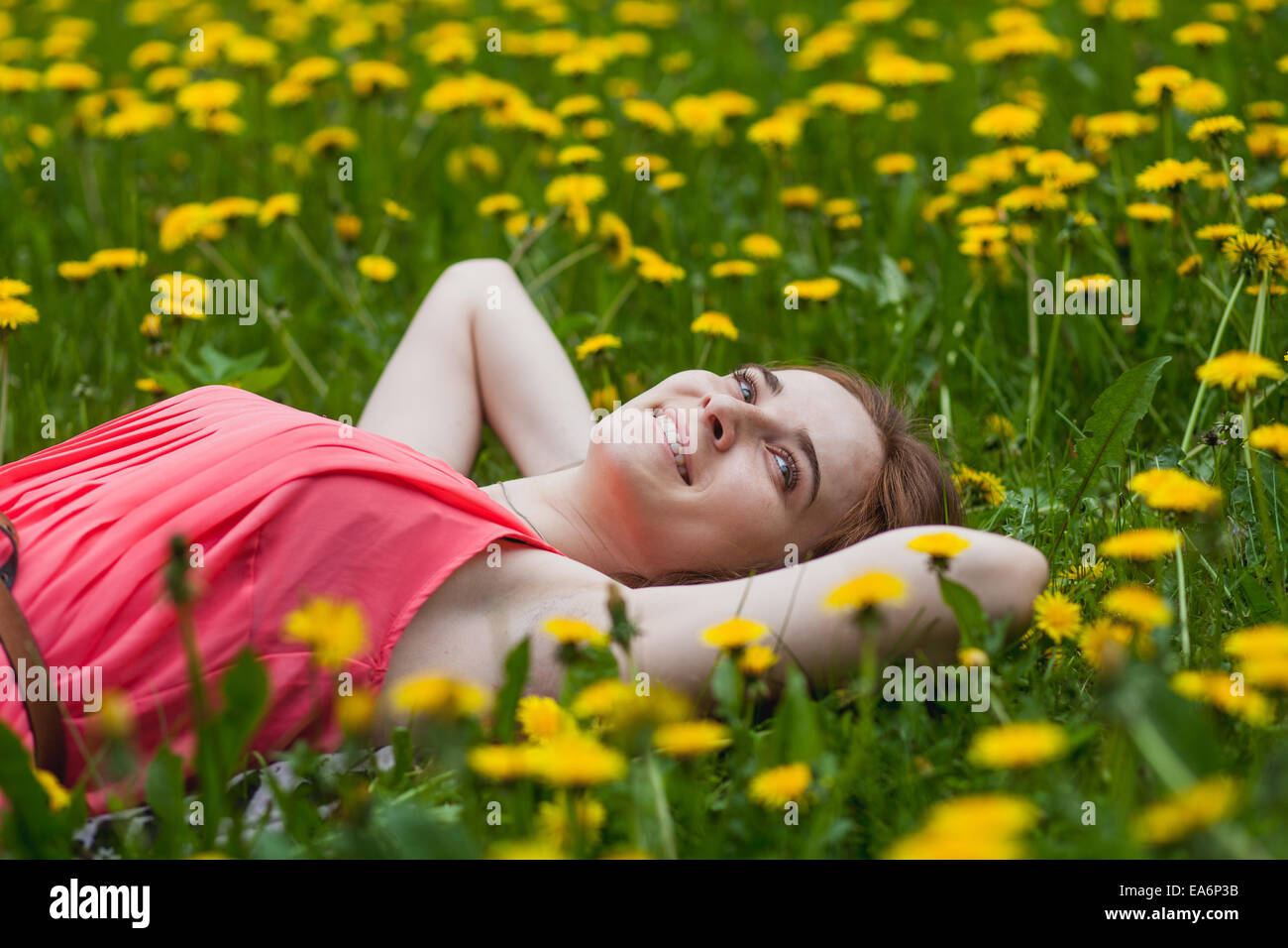 beautiful girl lying on the field of dandelions Stock Photo - Alamy