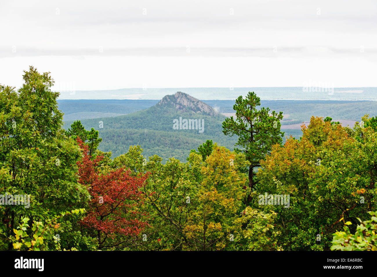 Forked mountain from the South, Ouachita National Forest; Arkansas, United States of America Stock Photo