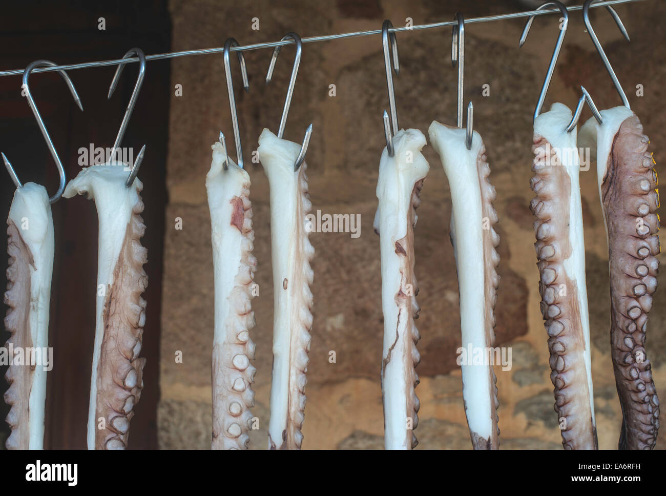Octopus on rope in hi-res stock photography and images - Alamy