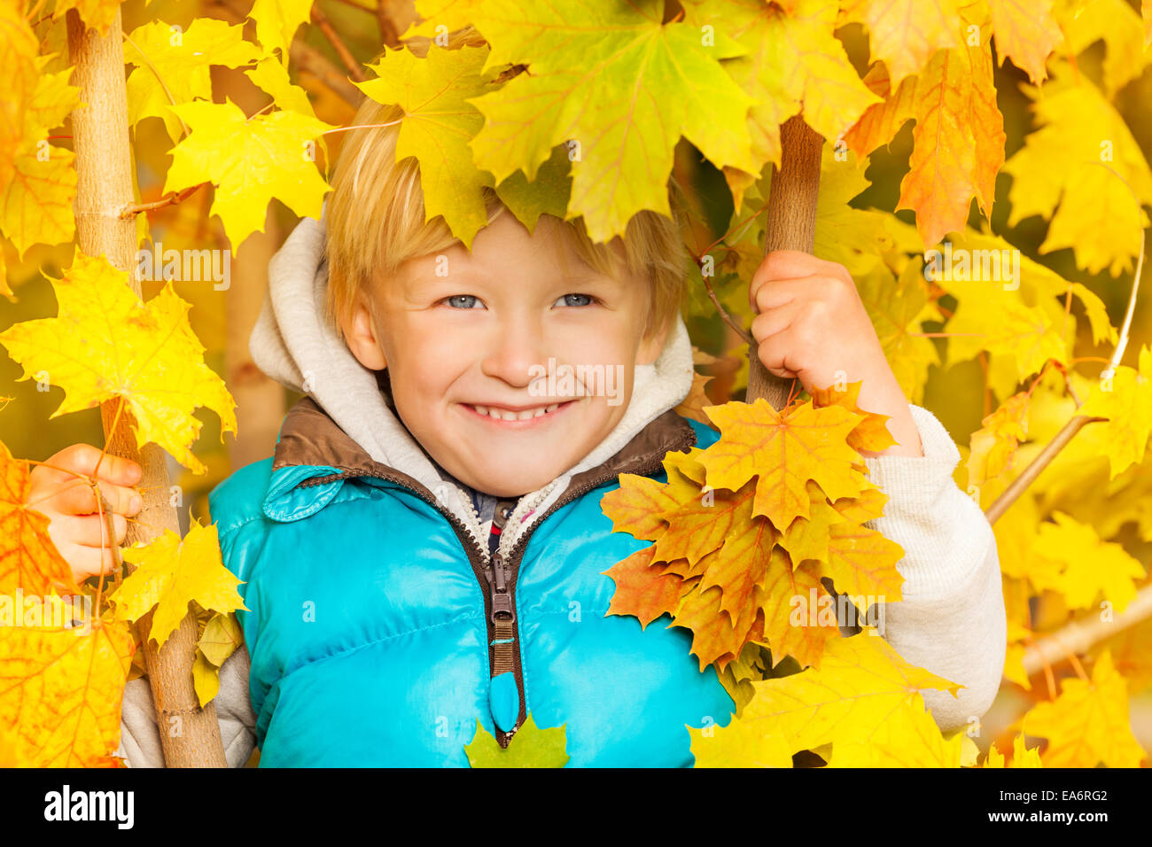 Smiling boy hiding in yellow autumn leaves Stock Photo - Alamy