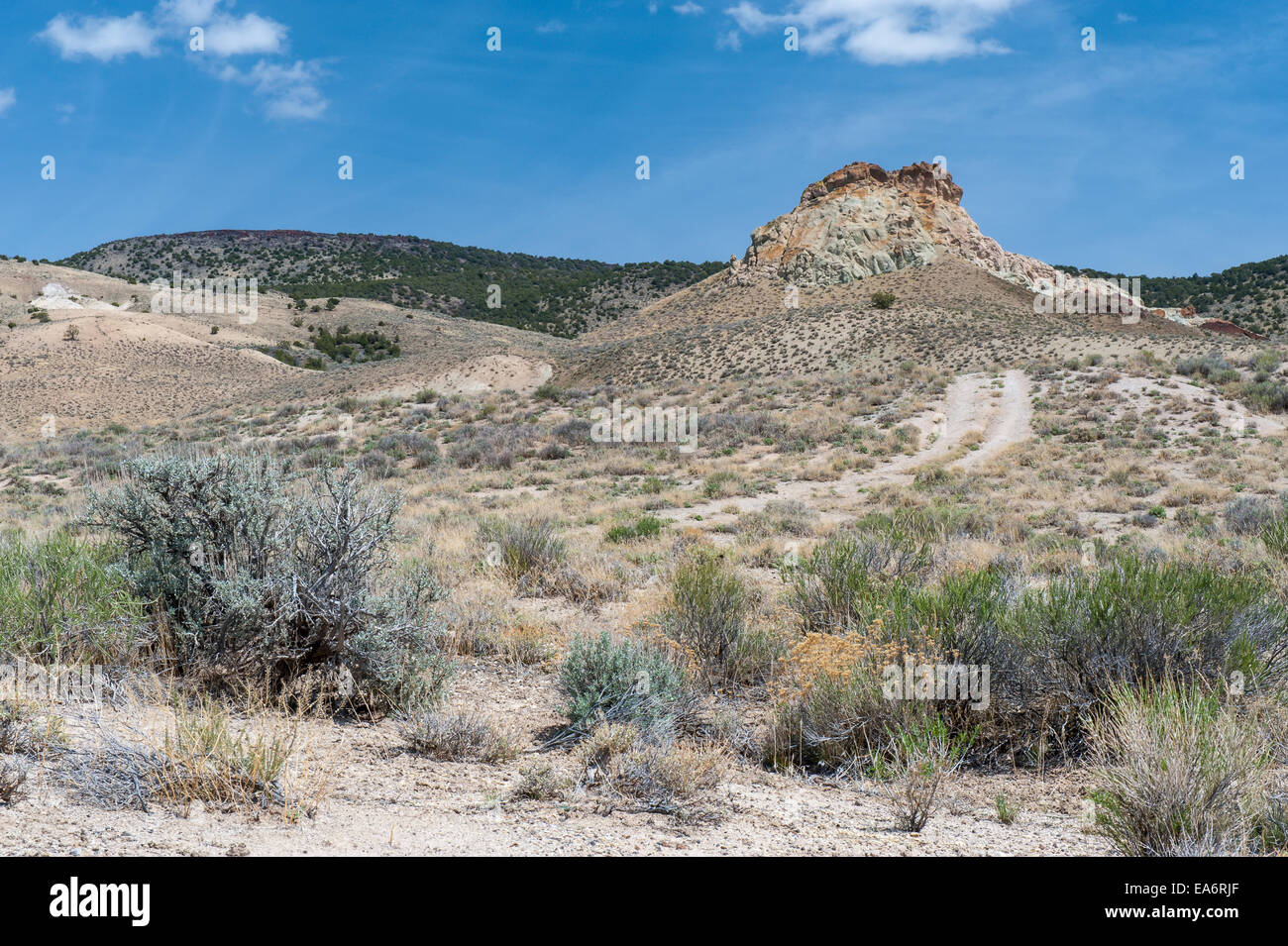 Nevada side of Surprise Valley in the high desert outside of Cedarville