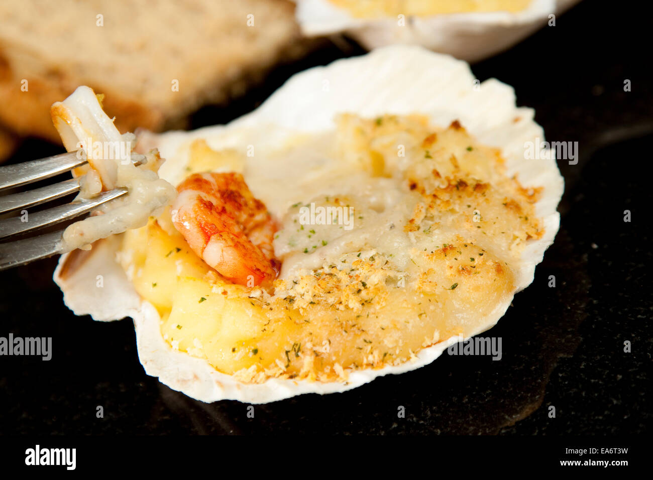 Seafood gratin in clam shells with scallops, king prawns and squid in a