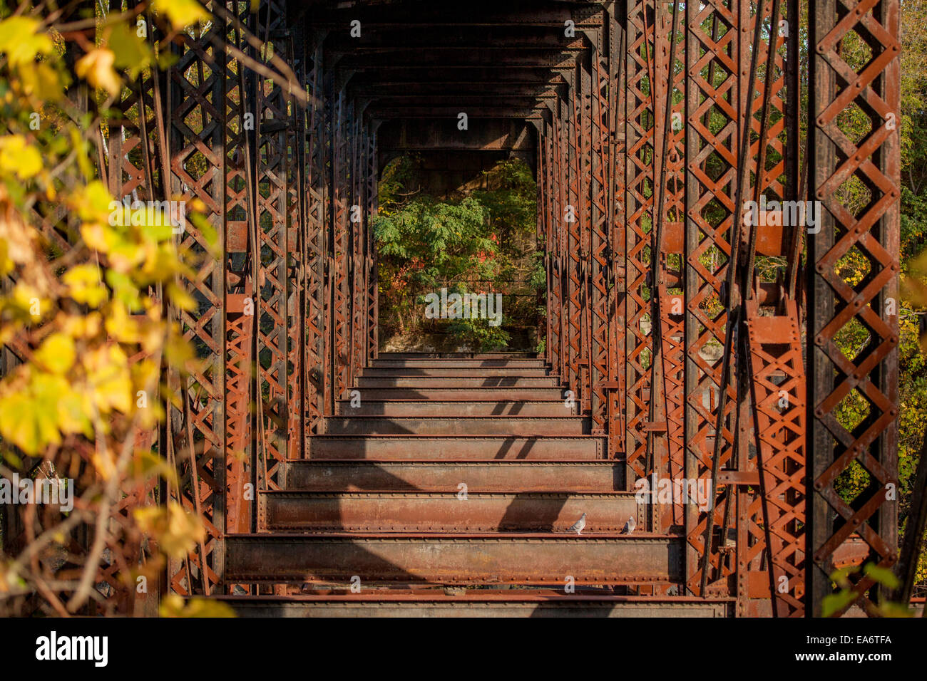 Abstract tunnel formed by very old, rusted iron bridge trusses. Stock Photo