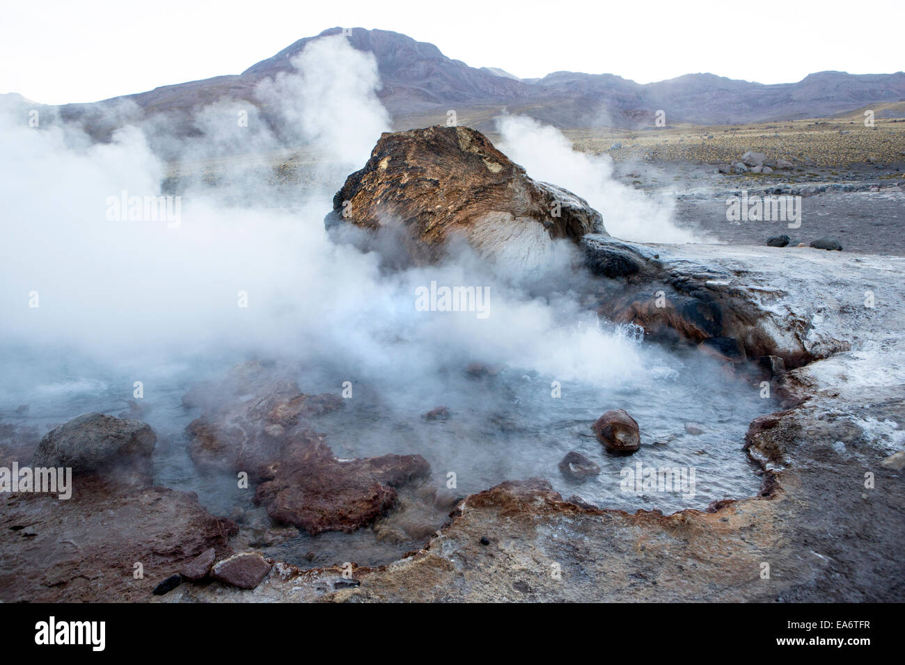 El Tatio Geysers, Atacama Desert in Chile. Stock Photo