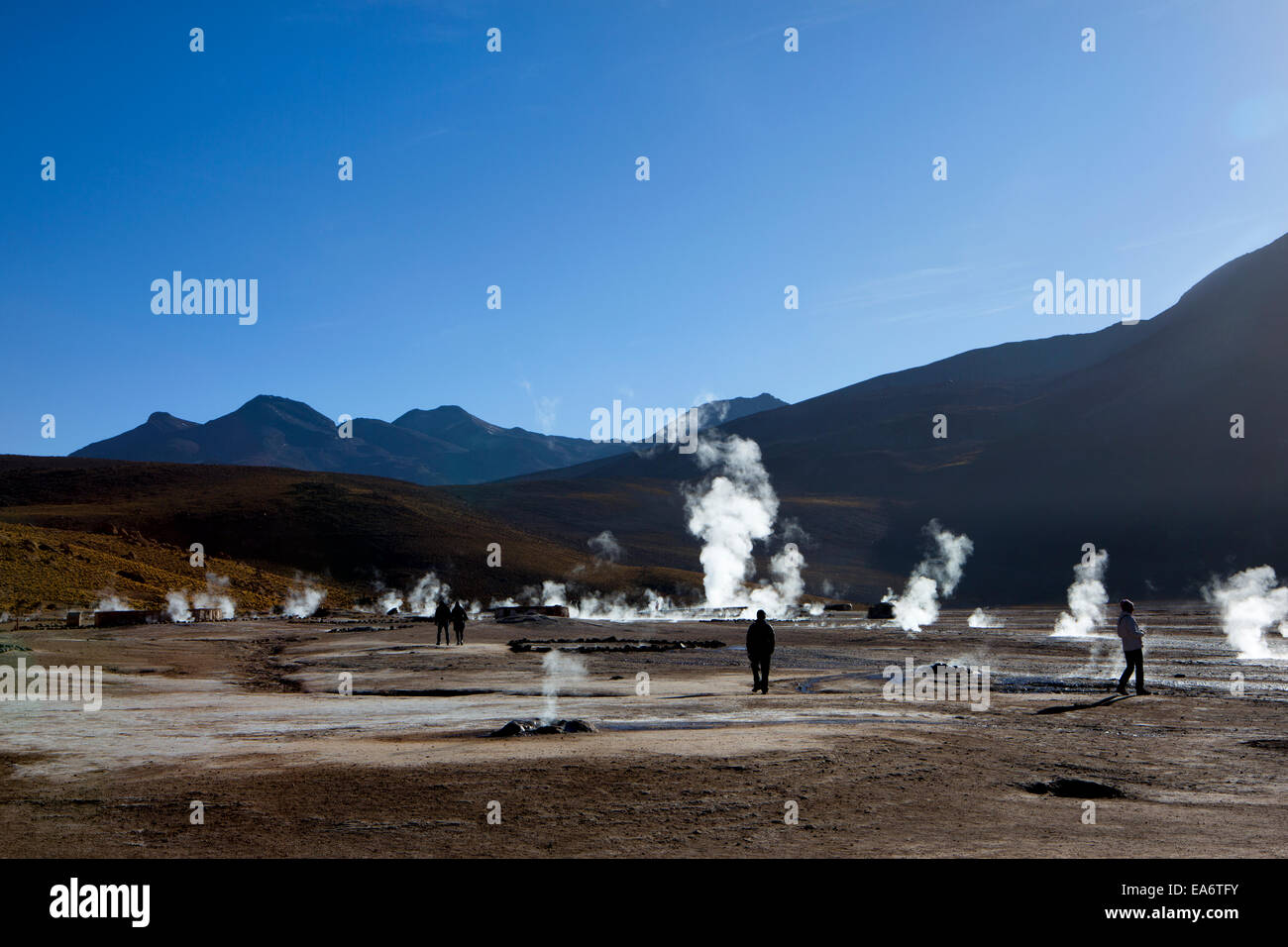 El Tatio Geysers, Atacama Desert in Chile. Stock Photo