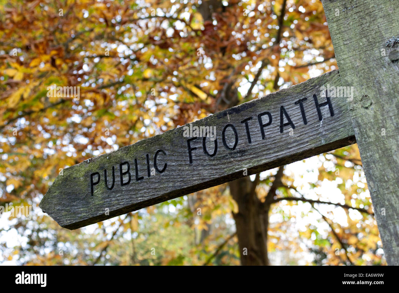 A weathered wooden public footpath sign, East Sussex, England, UK Stock Photo