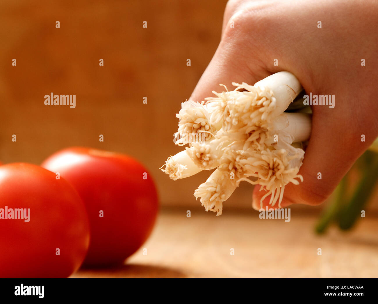Hand gripping a bunch of green onions Stock Photo