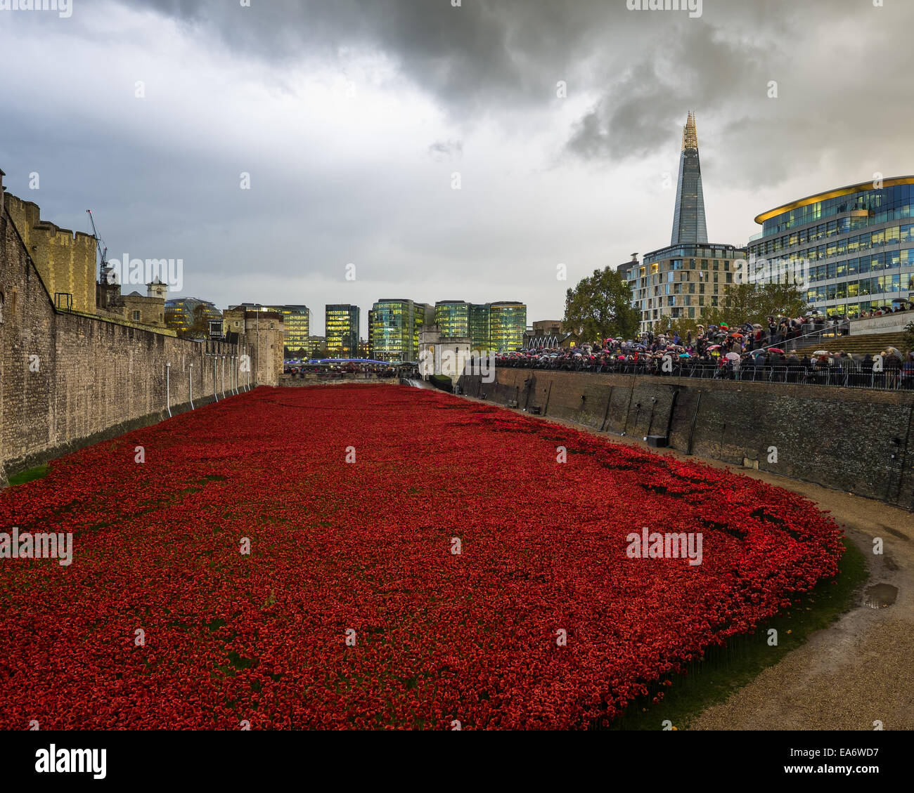 Poppy display at the Tower of London for the 2014, The Shard in the background. Stock Photo