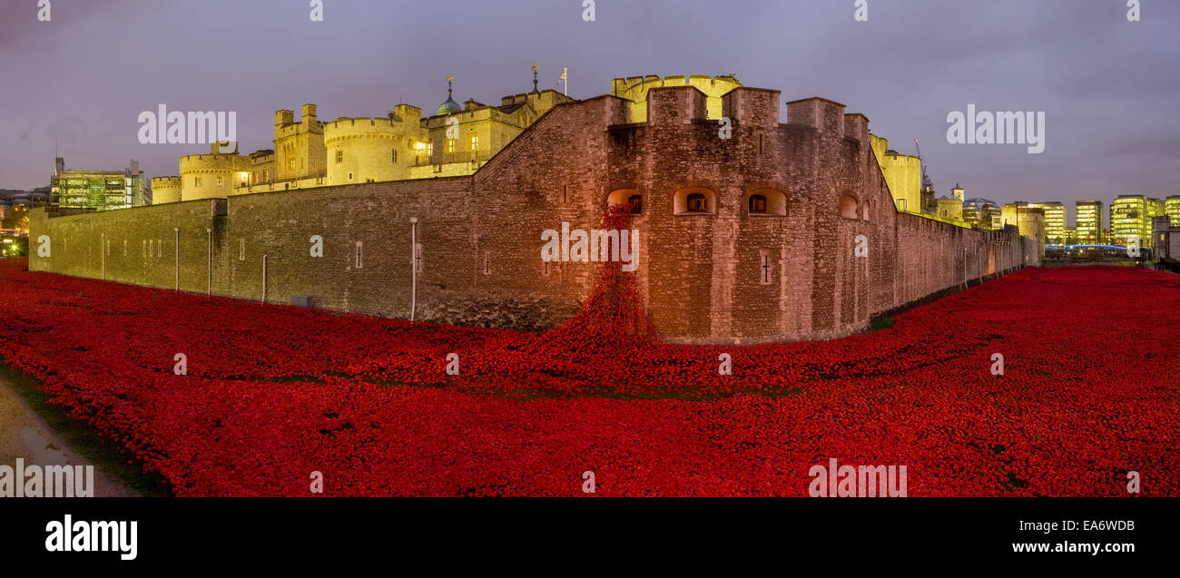 Poppy display at the Tower of London for the 2014, commemorating the centenary of the outbreak of WWI Stock Photo