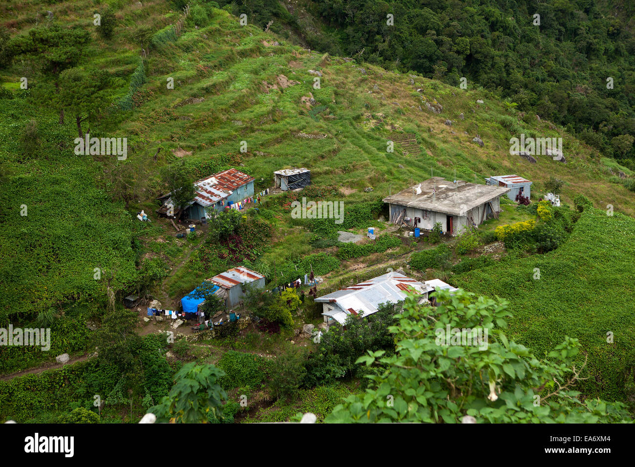 One of many thousands of mall family farms in Baguio that produce