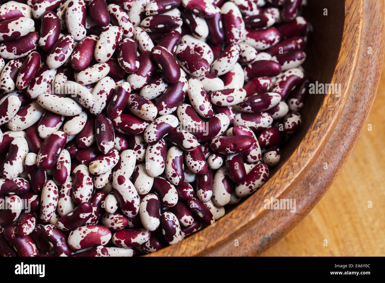 Dried heirloom Jacob's cattle beans; Toronto, Ontario, Canada Stock
