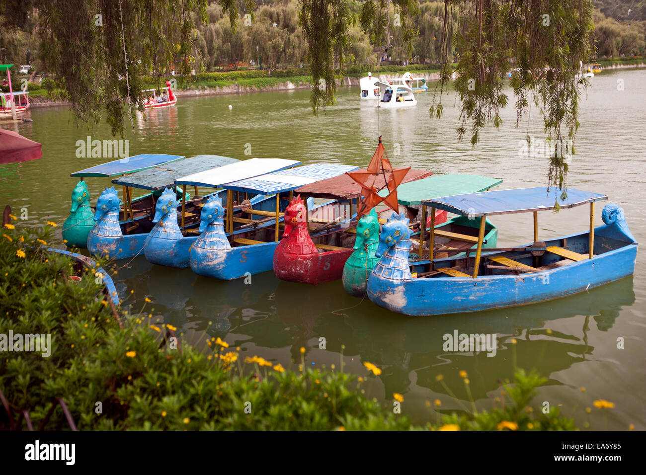 Dragon boats on Burnham Lake in Baguio City, Philippines. Baguio is a favorite vacation spot. Stock Photo