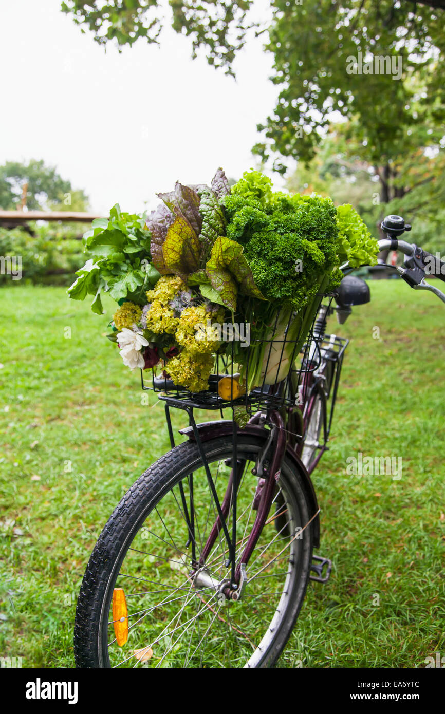 A bicycle basket loaded with fresh vegetables from a farmer's market