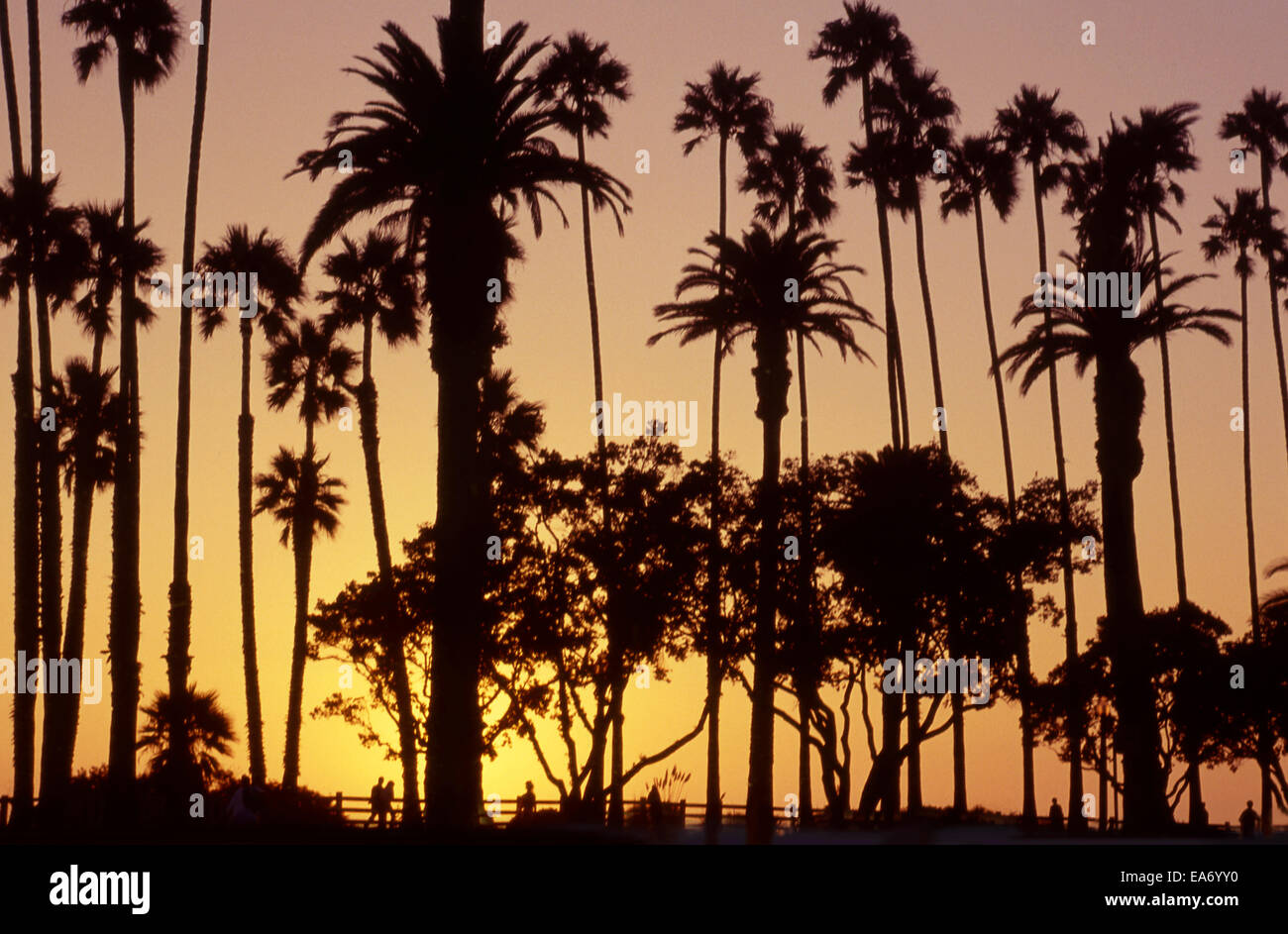 Sunset at Santa Monica, California Stock Photo