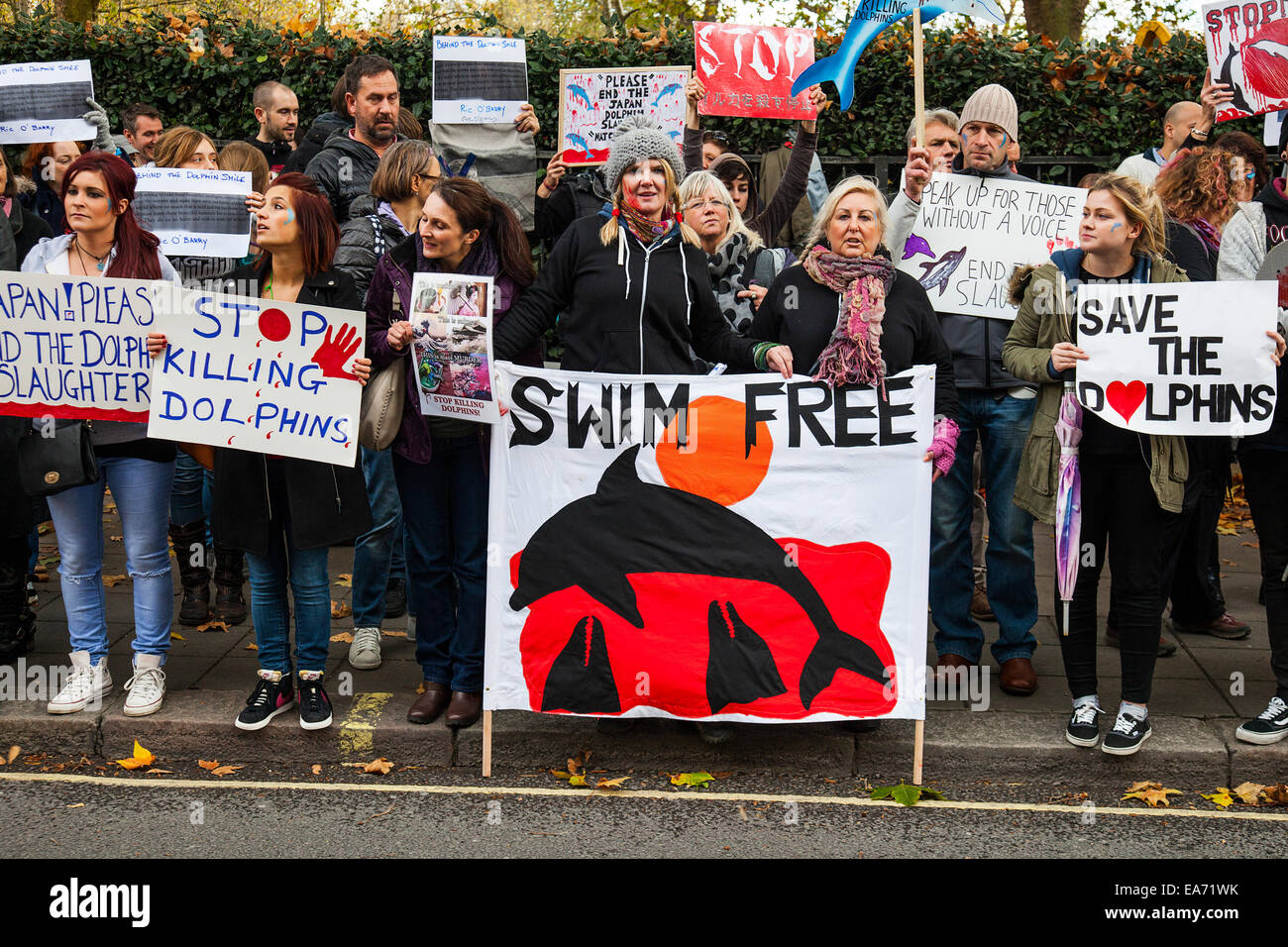 London, UK. 07th Nov, 2014. Dolphin protesters target the Japanese embassy in London. Credit:  Redorbital Photography/Alamy Live News Stock Photo