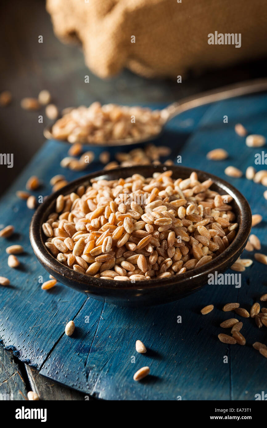 Organic Raw Farro Rice Grain in a Bowl Stock Photo Alamy