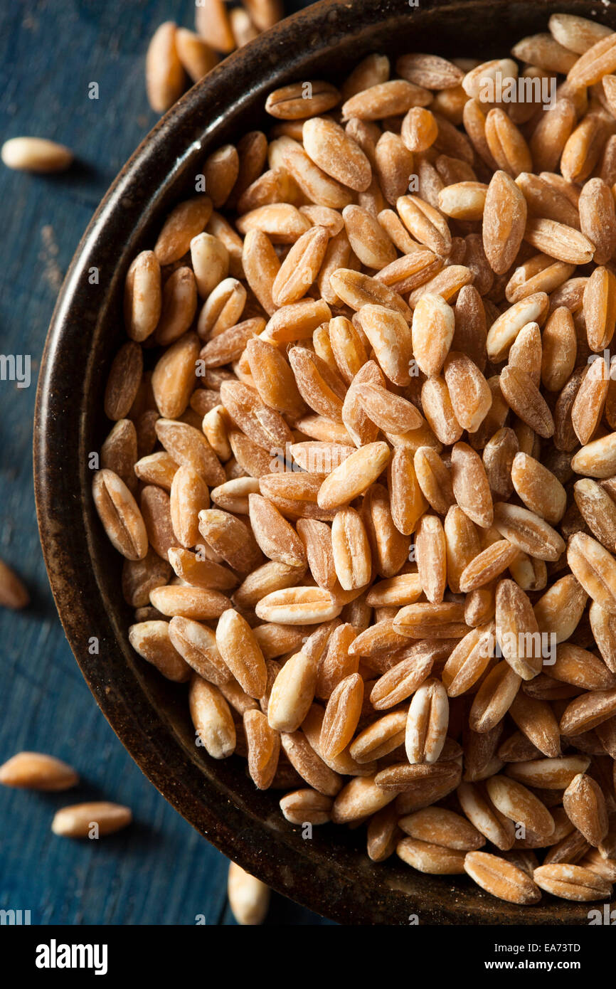 Organic Raw Farro Rice Grain in a Bowl Stock Photo Alamy