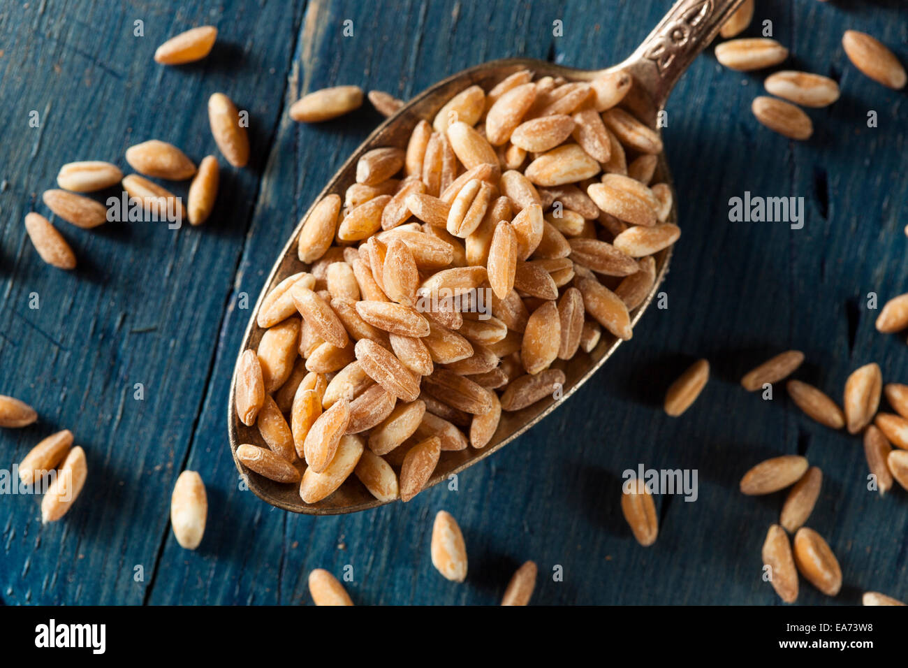 Organic Raw Farro Grain in a Bowl Stock Photo