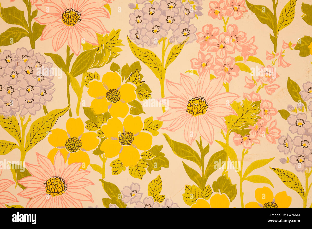 A detail shot of colourful retro flower print wallpaper.  Near Oakville, Ontario, Canada.  This House has since been demolished. Stock Photo
