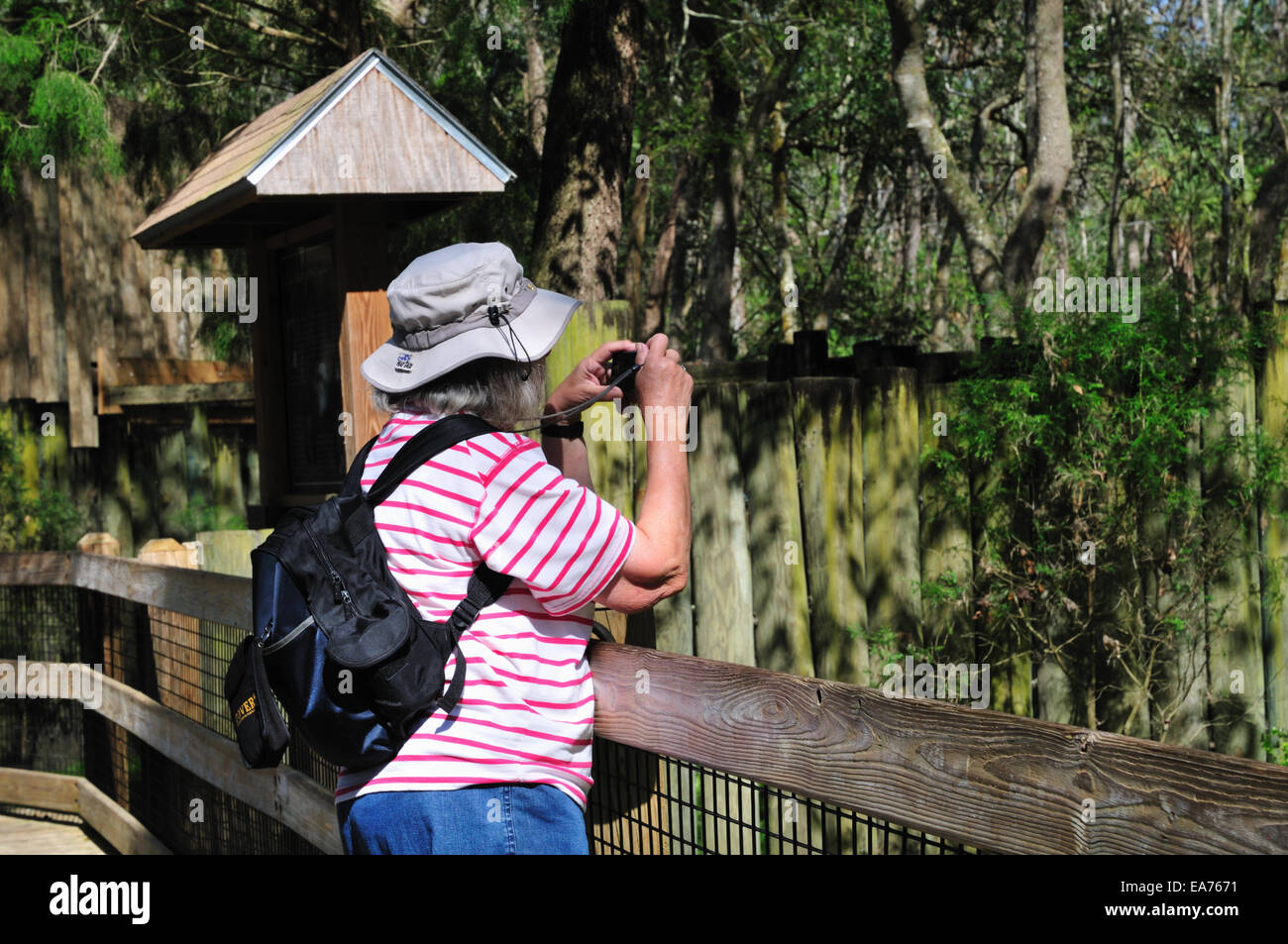 Photographer in the shore bird aviary at Ellie Schiller Homosassa Springs Wildlife State Park Stock Photo