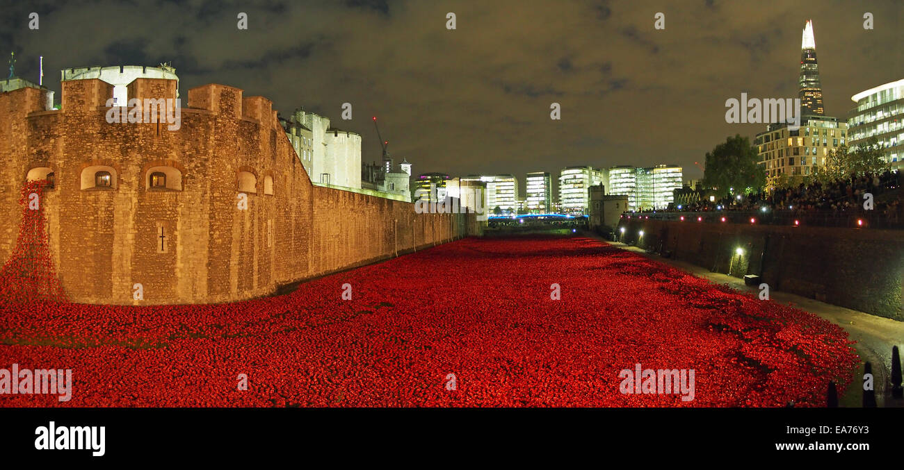 View of the Tower of London moat full of poppies at night in November 2014 Stock Photo
