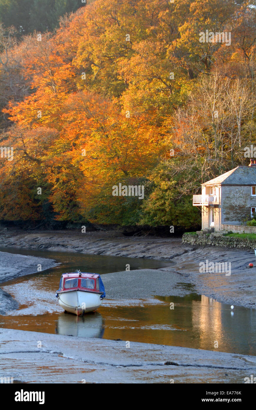 Boat on the river at low tide Lerryn South East Cornwall Stock Photo