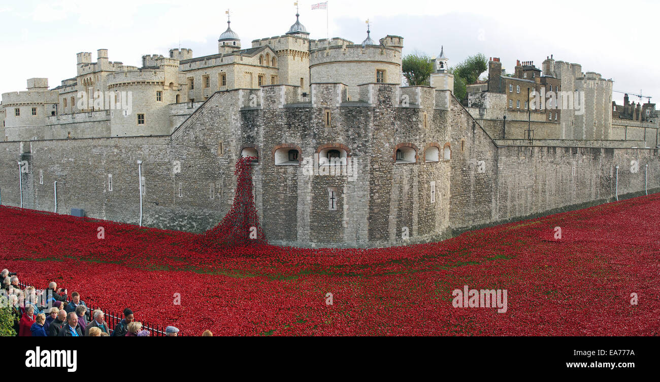 View of people viewing the Tower of London poppies in November 2014 Stock Photo