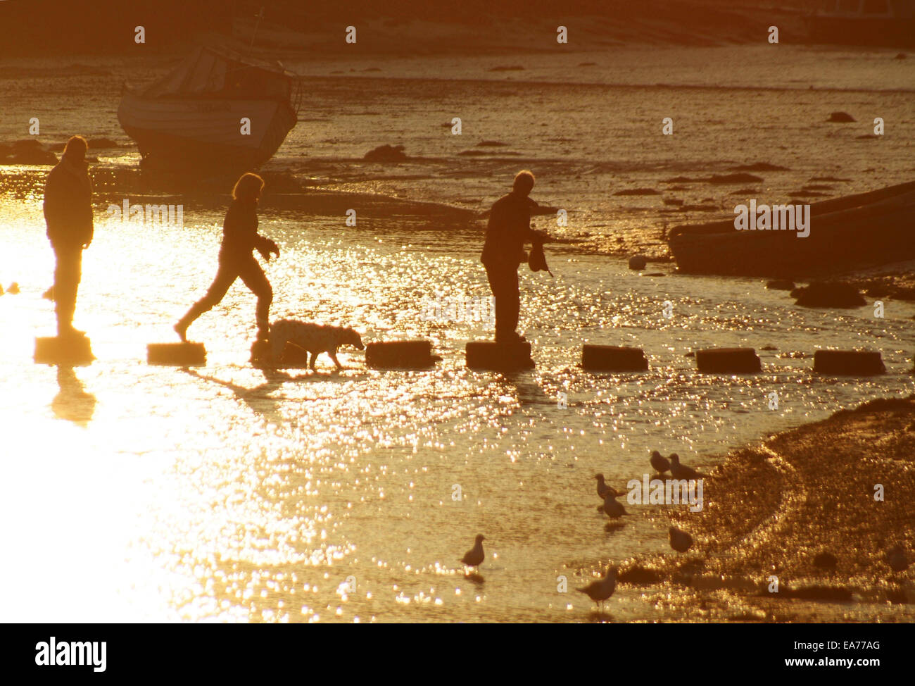Walking across river stepping stones at Lerryn South East Cornwall Stock Photo
