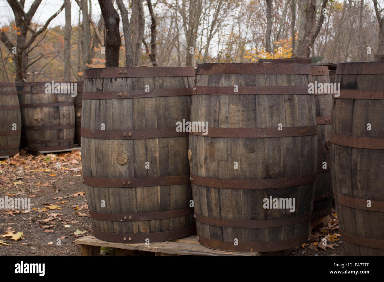 Cider barrels hires stock photography and images Alamy