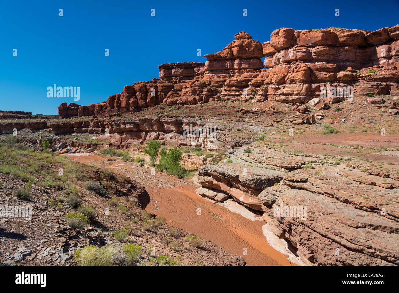 A dry river bed cut through red sandstone at the Canyonlands National Park, Utah, USA. Stock Photo