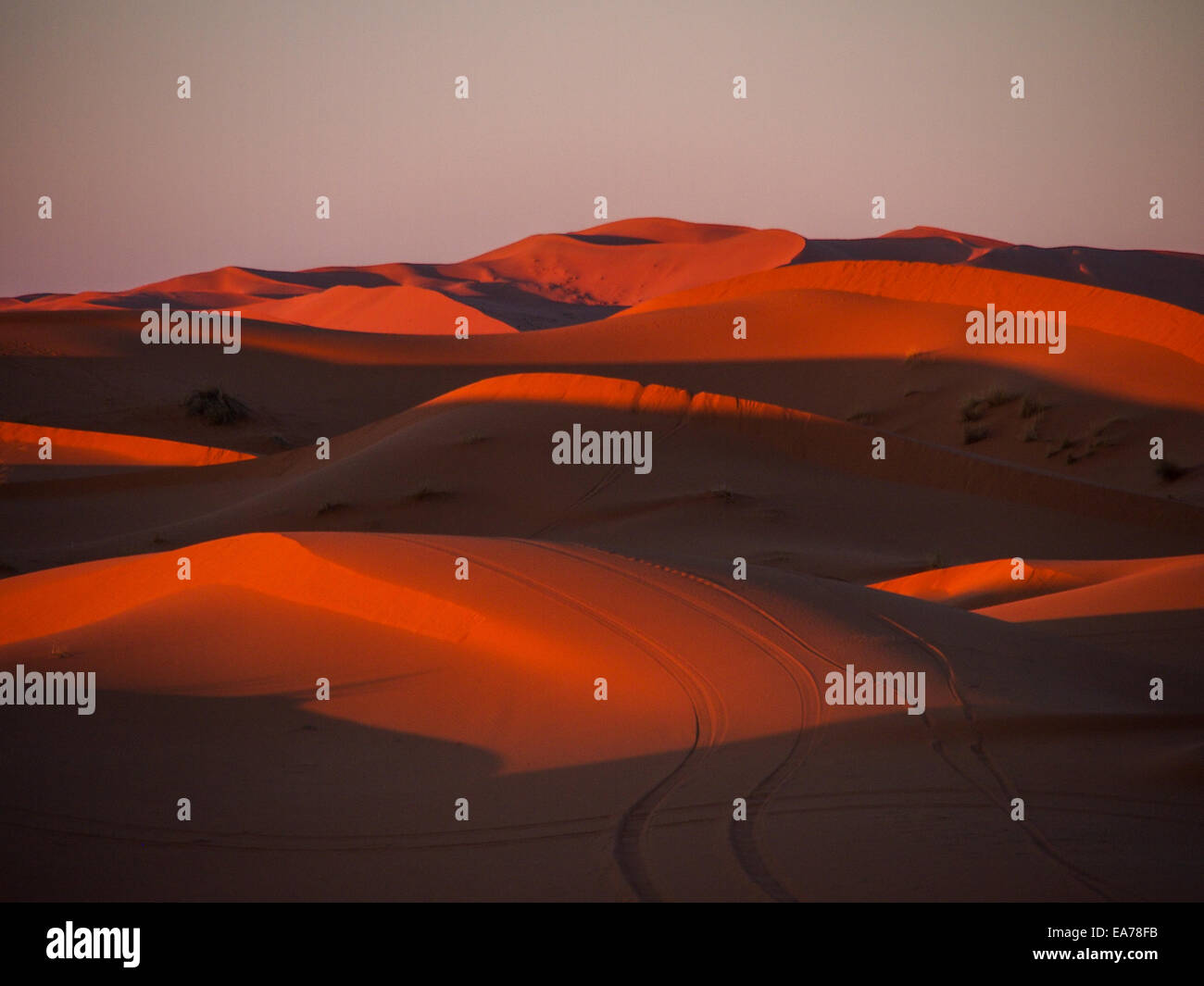 Sand dunes of Erg Chebbi in the Sahara Desert, Morocco Stock Photo - Alamy