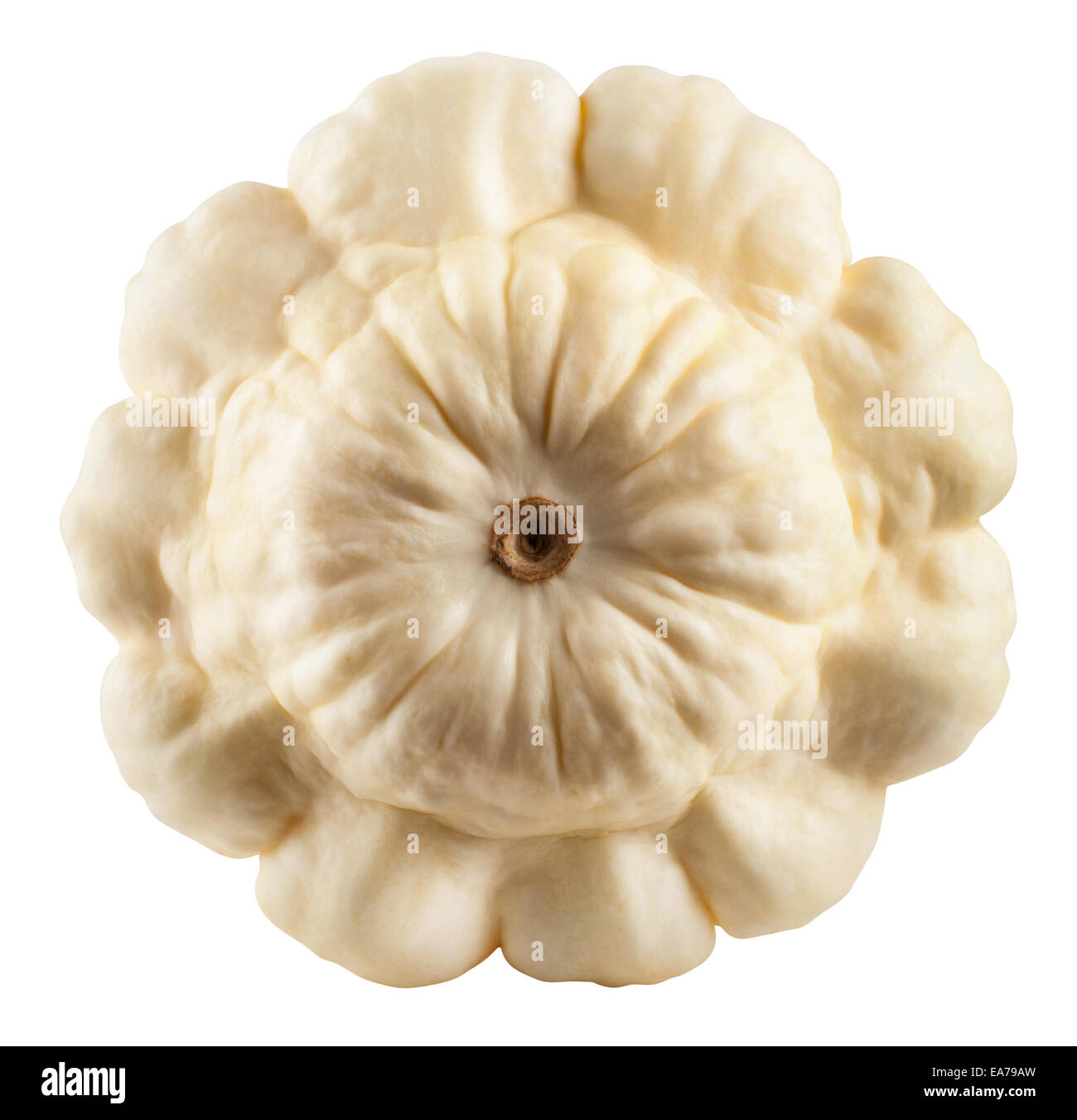 Patty pan Squash on white background. Clipping Path Stock Photo