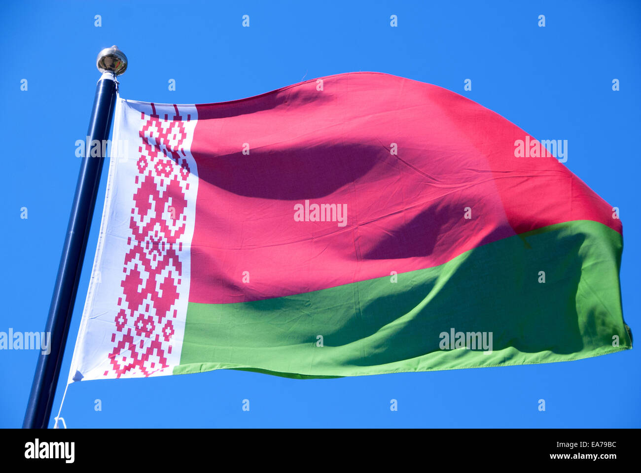 belarus flag Stock Photo