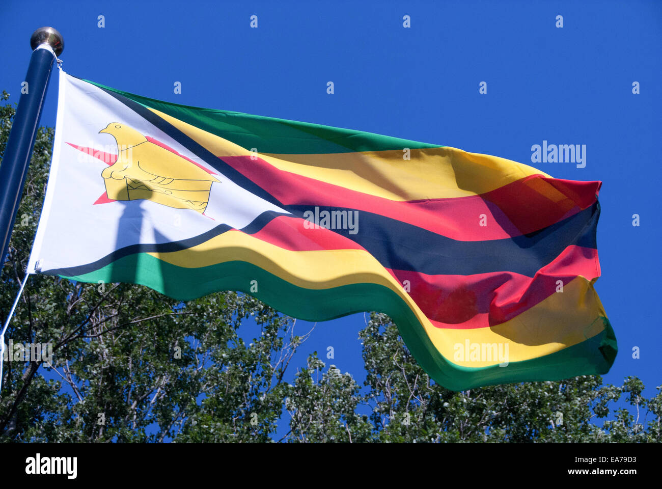 zimbabwe flag Stock Photo